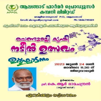 MARIGOLD CULTIVATION